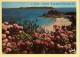 22. PERROS-GUIREC – Cité Des Hortensias (voir Scan Recto/verso) - Perros-Guirec