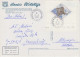TAAF Large Postcard King Penguin Ca Martin De Vivies 18 II 1999 (59740) - Storia Postale
