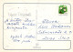 OSTERN HUHN EI Vintage Ansichtskarte Postkarte CPSM #PBO705.A - Pasqua