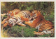 PERRO Y GATO Animales Vintage Tarjeta Postal CPSM Unposted #PAM032.A - Honden