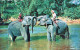 ELEFANTE Animale Vintage Cartolina CPA #PKE763.A - Éléphants