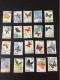 China Butterfly Used - Used Stamps