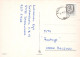 CERDOS Animales Vintage Tarjeta Postal CPSM #PBR774.ES - Schweine