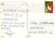 FLORES Vintage Tarjeta Postal CPSM #PAS244.ES - Flores