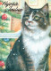 GATO GATITO Animales Vintage Tarjeta Postal CPSM #PAM457.ES - Cats