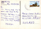 LINCE GATO GRANDE Animales Vintage Tarjeta Postal CPSM #PAM017.ES - Other & Unclassified
