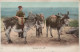 BURRO Animales Vintage Antiguo CPA Tarjeta Postal #PAA202.ES - Donkeys