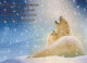 BEAR Animals Vintage Postcard CPSM #PBS311.GB - Bären