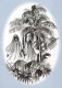 Christmas Religion Vintage Postcard CPSM #PBQ278.GB - Otros & Sin Clasificación