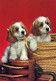 DOG Animals Vintage Postcard CPSM #PAN454.GB - Hunde