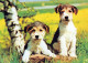 CANE Animale Vintage Cartolina CPSM #PAN654.IT - Chiens