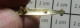 3417 Pin's Pins / Beau Et Rare / BATEAUX / YELLOW SUBMARINE PETIT SOUS MARIN MILITAIRE METAL JAUNE Par DCN - Trademarks
