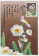 Maximum Card China 1990 Narcissus - Andere & Zonder Classificatie