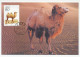 Maximum Card China 2001 Camel - Autres & Non Classés
