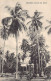 Tanzania - ZANZIBAR - Cocoanut Trees - Publ. A. R. P. De Lord  - Tansania