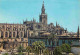 Espagne - Espana - Andalucia - Sevilla - Catedral Y Lonja - Cathédrale - Espana - CPM - Voir Scans Recto-Verso - Sevilla
