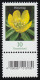 3314 Blume 10 Cent Aus 500er KLEINE Nr. Und Codierfeld (geschl. 4) ** - Rollo De Sellos
