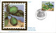 Delcampe - MONACO LOT DE 55 FDC DIFFERENTS - Lots & Kiloware (mixtures) - Max. 999 Stamps