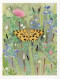 Insectes Papillons - Pochette De 12 Fiches  - Texte J.-F. Aubert - Planches L.-P Et P. A. Robert -  Delachaux Et Niestlé - Animaux