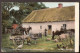 Irish Farmyard 1910 - Farm, Cow, Horse, Chicken, Tatched Cottage - Autres & Non Classés