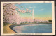 Washington Monument And Japanese Cherry Blossoms, Riverside Drive. - Washington DC