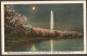 Washington Monument And Japanese Cherry Blossoms By Moonlight - Washington DC