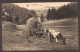 Houffalize - Paysage  - Ossenwagen - Oxcart - Houffalize