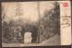 Bruxelles 1904 - Grand Ravin Du Bois - Bossen, Parken, Tuinen