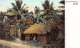 Sri Lanka - Native Dwelling House - Publ. The Colombo Apothecaries Co. Ltd. 3390 - Sri Lanka (Ceylon)