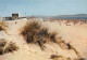 34  MARSEILLAN PLAGE   La Plage   (Scan R/V) N°   50    \MR8021 - Marseillan