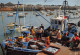 56    QUIBERON Débarquement Des Sardiniers à Port Maria   (Scan R/V) N°  43   \MR8027 - Quiberon