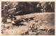 Delcampe - 10 Cartes Chasse Au Caïman  GUINEE Française Vialla  Coyah   (Scan R/V) N°    37     \MR8054 - Guinée Française