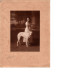 Woman And Borzoi Dog Vintage Photograph Signed (fault A Tiny Hole See)  25 X 19 Cm - Gehandtekende Foto's