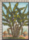 130952/ Paysage Africain, Petite Peinture Sur Papier, Signée MONSI 88 - Andere & Zonder Classificatie