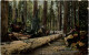 Hauling Timber - Andere & Zonder Classificatie