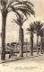 Cannes, Allee Des Palmiers - Cannes