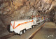 65 Grottes De BETHARRAM Le Petit Train (Scan R/V) N° 43 \MS9001 - Argeles Gazost