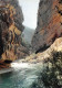 04 Gorges Du Verdon Greoux Les Bains (Scan R/V) N° 43 \MS9013 - Gréoux-les-Bains