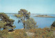 56 L'île Aux Moines Vue Générale Perspective Sur L'île D'Holavre (Scan R/V) N° 24 \MS9023 - Ile Aux Moines