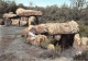 56 CARNAC Dolmens Du Mané-Kerioned (Scan R/V) N° 19 \MS9032 - Carnac