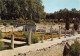 Delcampe - 84 Lot De 26 Cartes De VAISON-LA-ROMAINE (Scan R/V) N° 1 \MS9075 - Vaison La Romaine