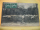 Delcampe - 40 3640 LOT N° 7 DE 15 CPA DIFFERENTES SUR  LES BERGERS ET MOUTONS DANS LES LANDES - Allevamenti