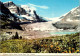 7-5-2024 (4 Z 28) Canada - Athabasca Glacier In Jasper - Jasper