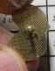 1818A Pin's Pins / Beau Et Rare / MARQUES / MONTRE OIGNON ACTION BESANCON - Trademarks