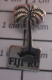 1818A Pin's Pins / Beau Et Rare / MARQUES / FIJI RU COCOTIER - Trademarks
