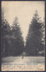 CP "Bourg Léopold Camp De Beverloo" Affr. N°56 Càd "BOURG LEOPOLD (BEVERLOO) /8 AOUT 1906" Pour BRUXELLES - Réaff. N°53  - 1893-1907 Stemmi