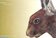 Faroe Islands 2005 Rabbits Booklet, Mint NH, Nature - Rabbits / Hares - Stamp Booklets - Unclassified