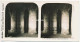 Photo Stéréoscopique 7,3x7,4cm Carte 17x8,7 Cm S.201 - 4229 MONT-SAINT-MICHEL Crypte Des Gros-Piliers - Stereoscoop
