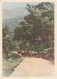 Yugoslavia Red Cross Youth Postcard - Santé