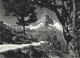 11646665 Zermatt VS Matterhorn  - Autres & Non Classés